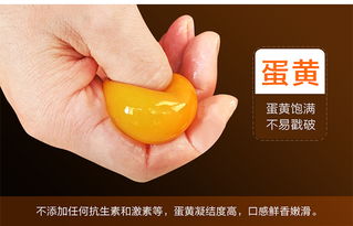 品味天然生態，福德錦放養土雞蛋——健康與禮遇的雙重臻選