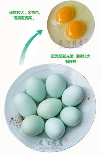 夾江特產烏雞蛋 30枚新鮮綠殼土雞蛋的地道美味